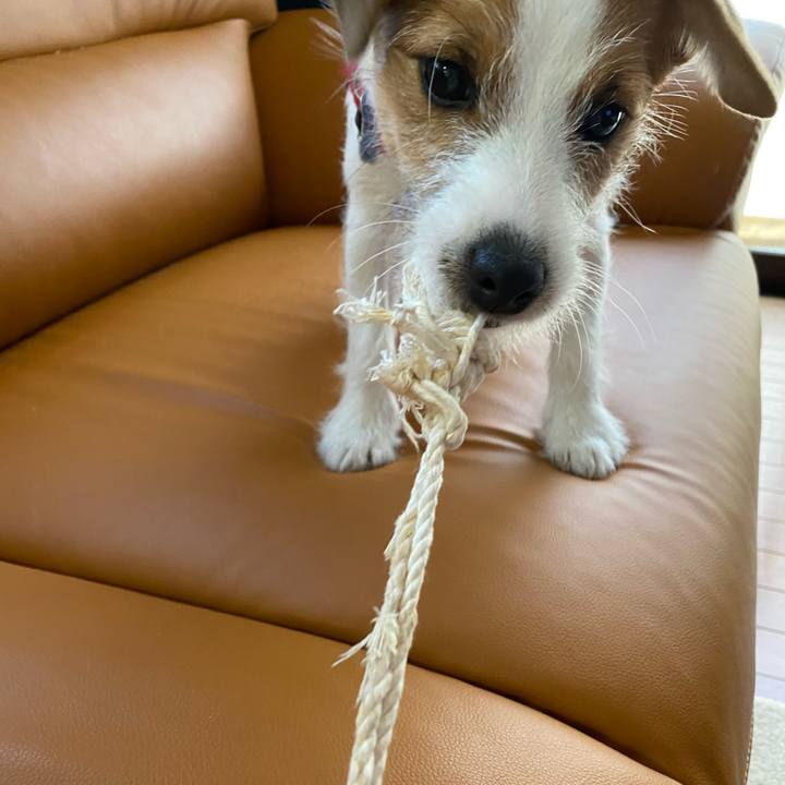 Ed25eb79 8ec3 4d11 820a 05af7f93a975 1622360085363