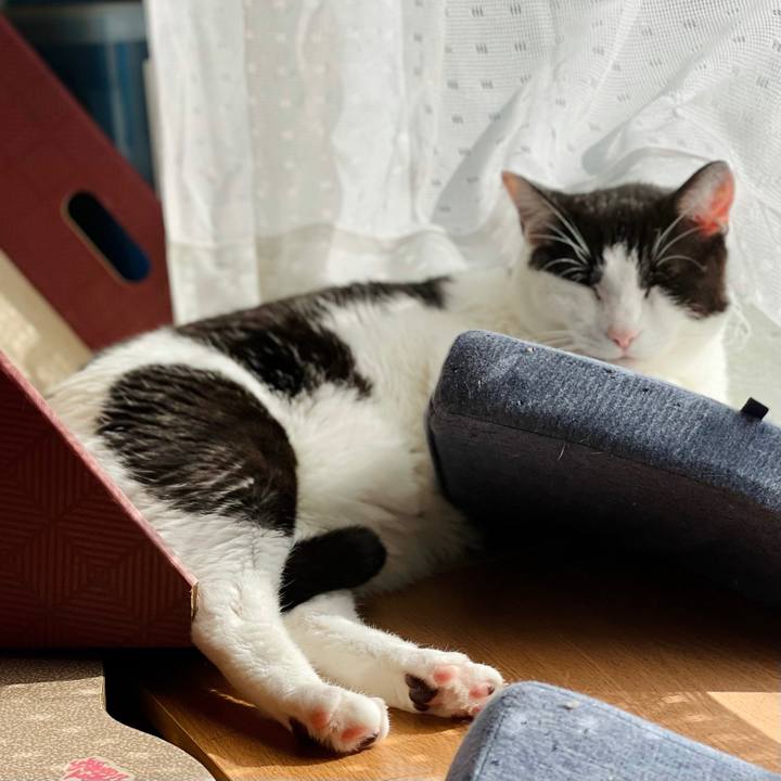 Ed2602cd c831 4f69 9389 341c33818643 1622084191243