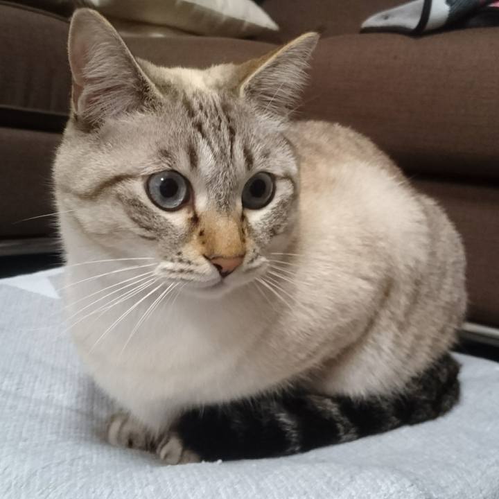 Ed261f4d 01a1 4b6b 886b 814e0b8b2cde 1509013822012