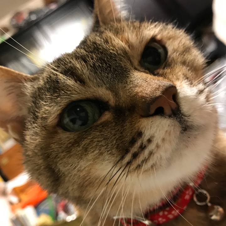 Ed262f18 c7a7 4ea7 916b 3b77d3d395c5 1523034405918