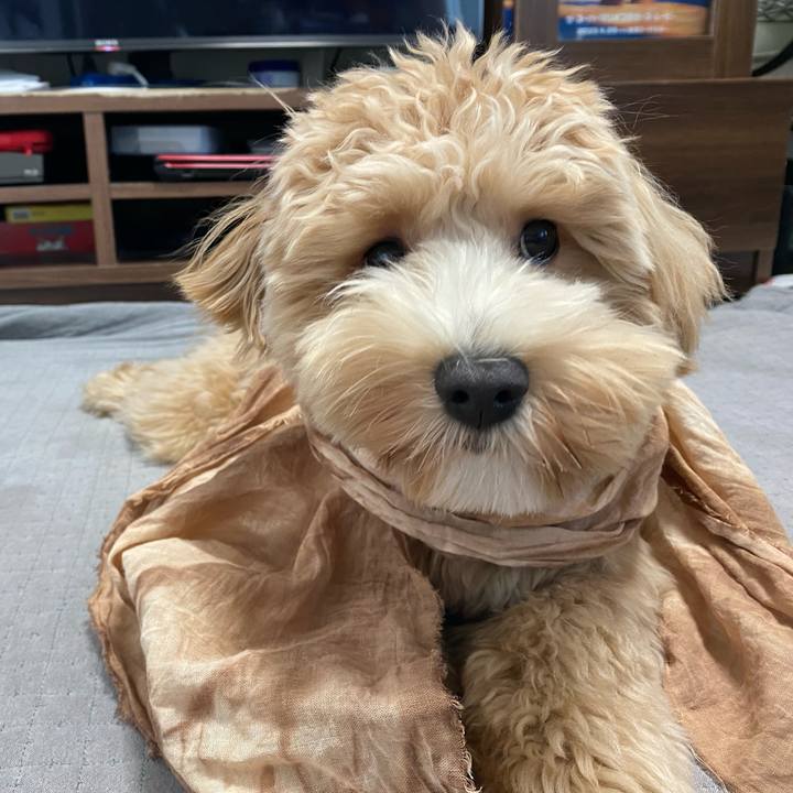 Ed266042 a0e1 4b69 accd a66c6d4f67c0 1757307763660