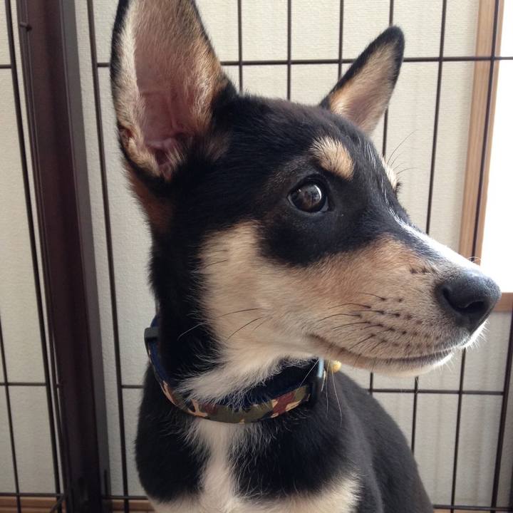 Ed2660ee c4ef 45a6 8d0e cb18d5f9e810 1569553426421