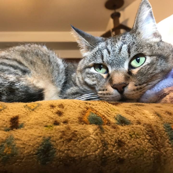 Ed2685ef 7087 42fd abd8 679ead5e47d2 1558762680320