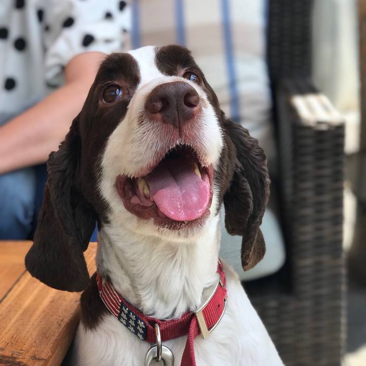 Ed26cc88 42fb 4400 8029 59e92d9325dd 1527042056851