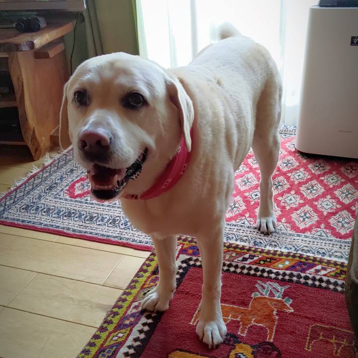 Ed26dc0f fbf5 4e8b a274 d00c78b01eee 1724570620658