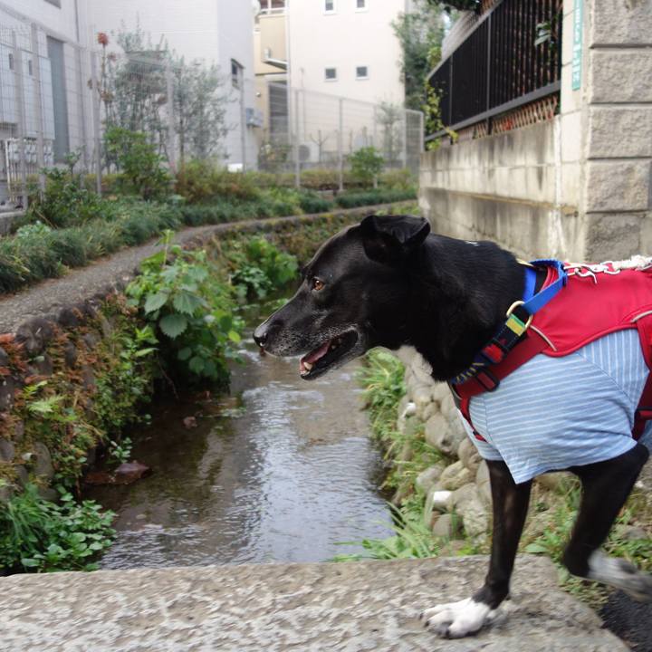 Ed26e155 0dce 4269 9ffb ebf8576f1fe7 1670719634977