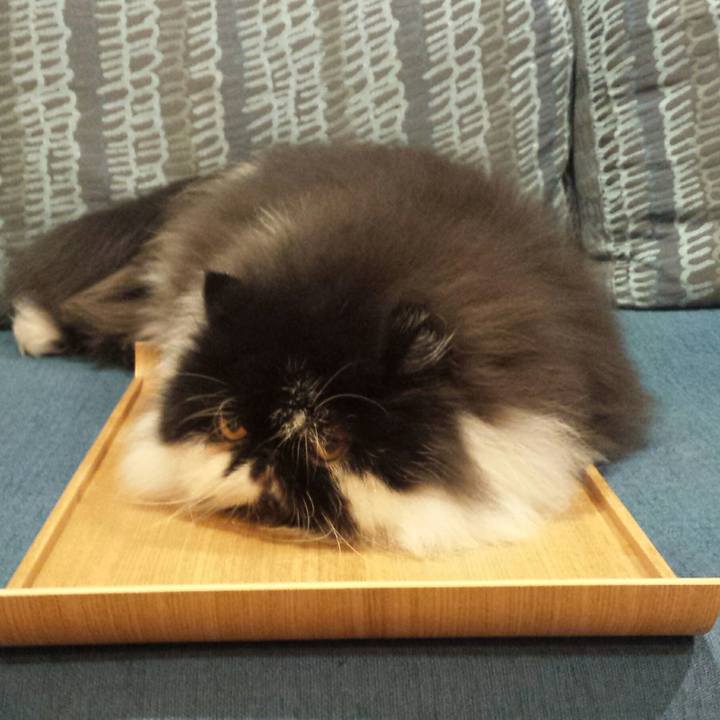 Ed2736a0 ae6f 4ace b4e3 7dccf4e54844 1519125841369