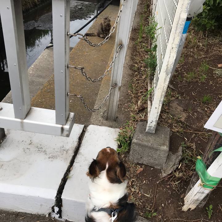 Ed276603 f566 4b89 9eff dc01aba15b8c 1559692475653