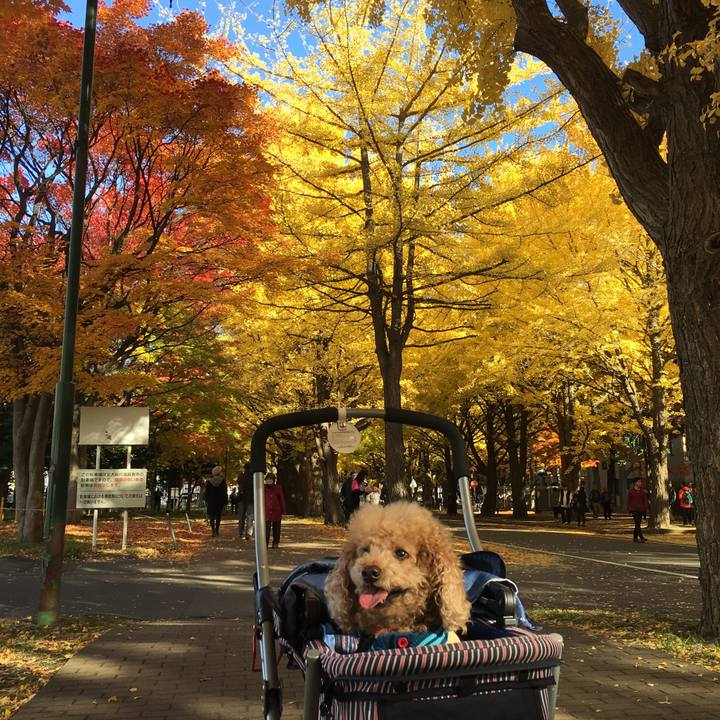 Ed27b220 6c15 48d4 a67c 4a4a1a4b0a12 1540646588850