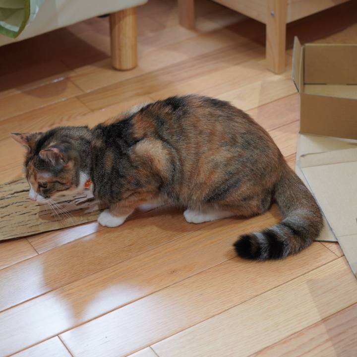 Ed27c81a a2e6 4d6c 8351 ba9c7b727e62 1623901291957