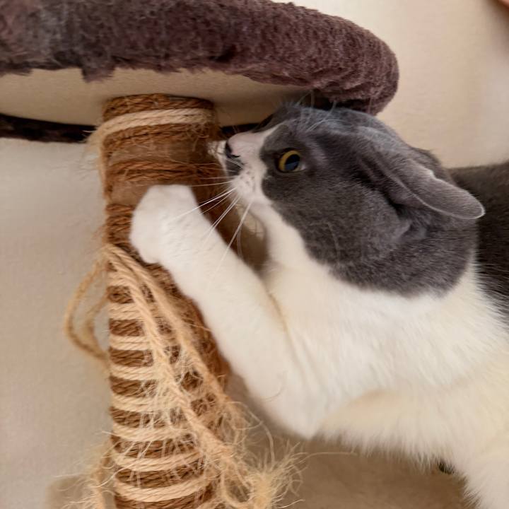 Ed27f751 8a82 4ae2 97f9 d938572a1790 1762999032688