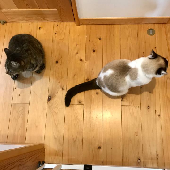 Ed27fc91 3396 4d55 83a9 03772450d61b 1585274570605