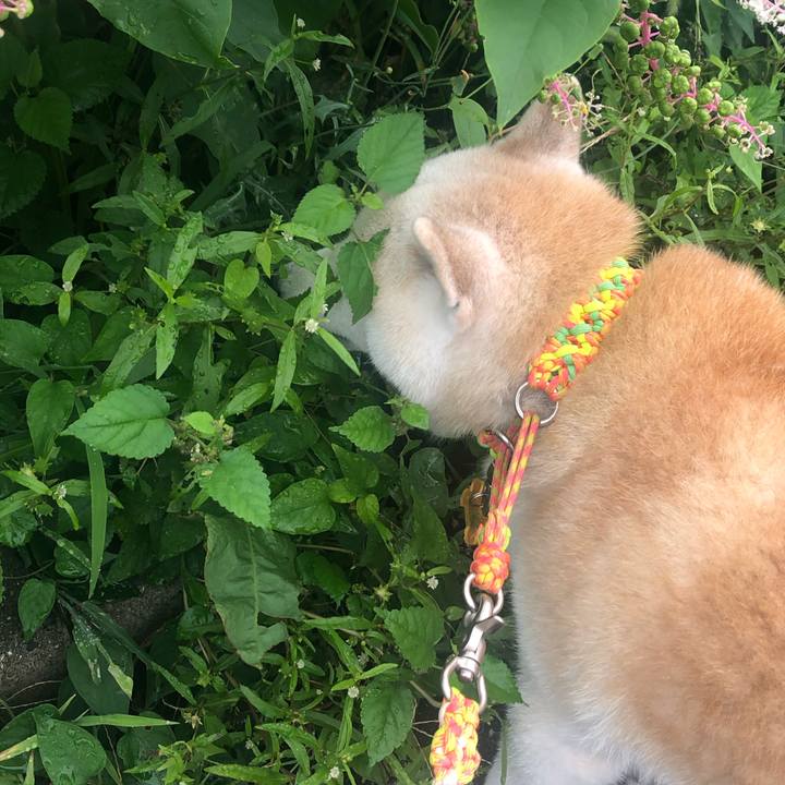 Ed28574a 6803 4e4e 8e4c 1ff63715c5a2 1601189501017