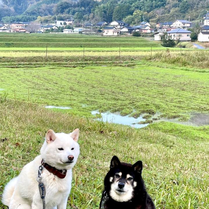 Ed2886ce bca4 47a3 98d5 9850d8336143 1700195392290