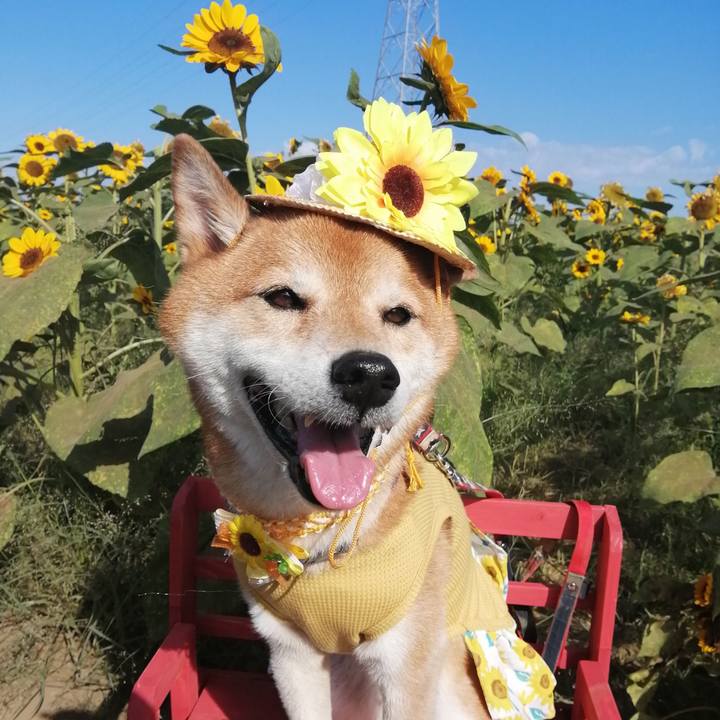 Ed28ae43 2a32 4775 8b16 009ea694ad23 1689865343694