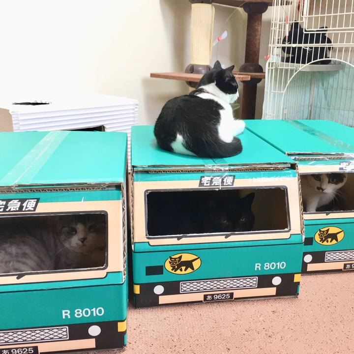 Ed28b1d8 8230 4158 8a8f 8d0c598230e8 1528017731435