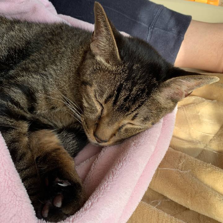 Ed28b640 2fb9 4dcc 8246 a78da8521761 1603330763913