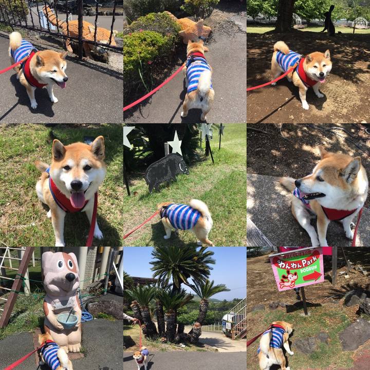 Ed28f7a7 6ac2 44ee a06b a00b6861acc7 1620554445468