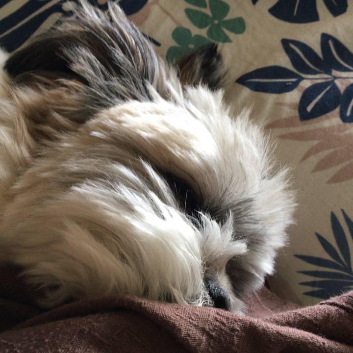 Ed295488 d088 41f4 82ef 475a01eb02c9 1526362206513