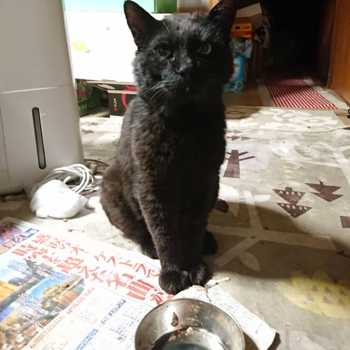 Ed295a0e 8c0d 4758 8de6 48e4bbf8d4c6 1657112476963