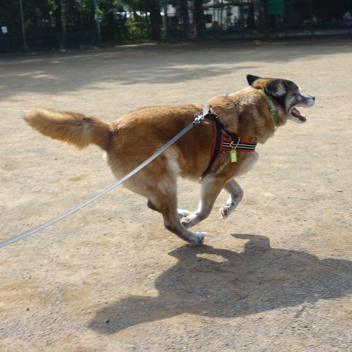 Ed297dba ef58 4680 bd5e b5a76de76c86 1526604065142