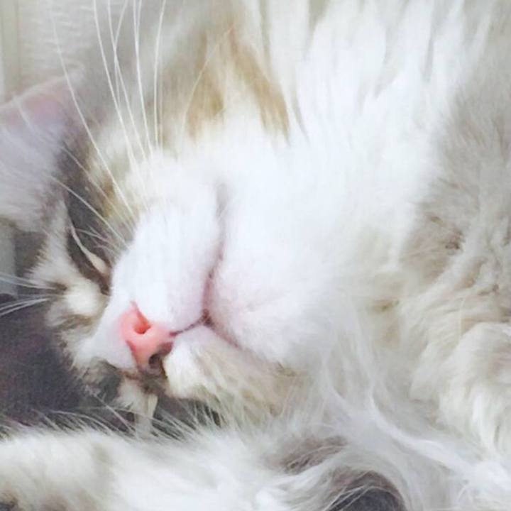 Ed29de29 a1ca 4c5e bb34 f4553269b5fb 1590894298234