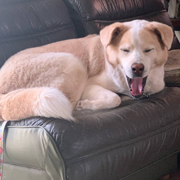 Ed2a20fc 5ed8 47e2 a331 d72a0f1f65f2 1625984264300