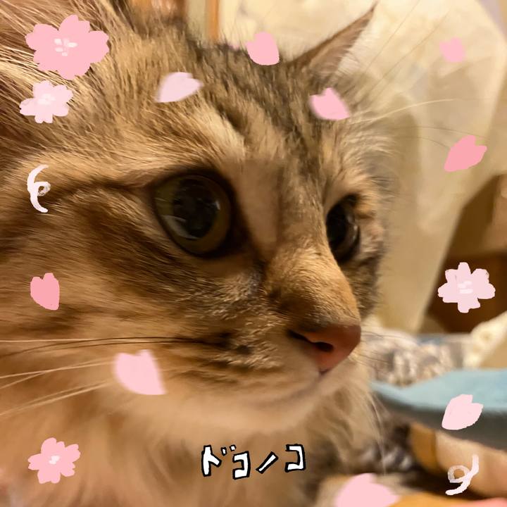 Ed2a2729 5b9d 4016 98ce 47a38b581776 1744325095115