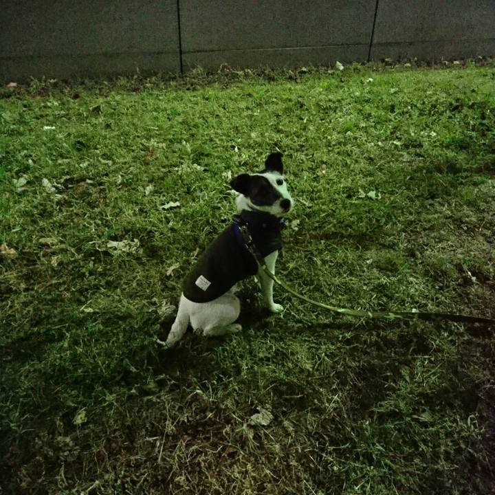 Ed2a4c27 f38d 48f5 afe4 d900c06acf79 1519037583804