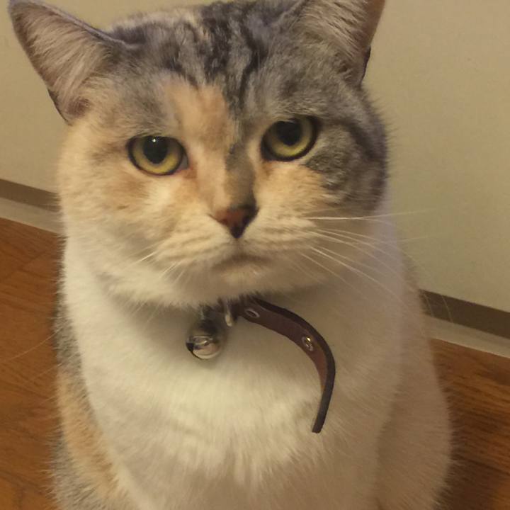 Ed2a6836 f1df 4ca5 954f a7c6a1e5d275 1550330565846