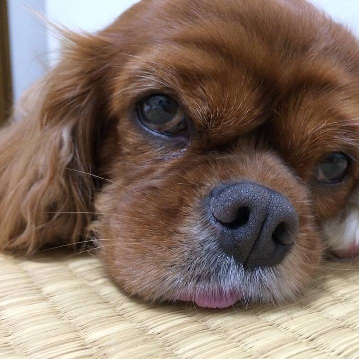 Ed2a69f0 b822 4994 8184 030879cd8407 1511871444266