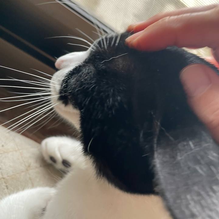 Ed2a9e1b 32e9 4e60 883c a90ad0b672e9 1696396992874