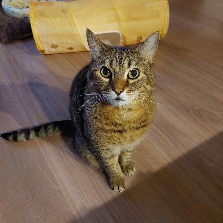 Ed2ac10b 6811 4252 8a95 0585be7b67d2 1640808082957