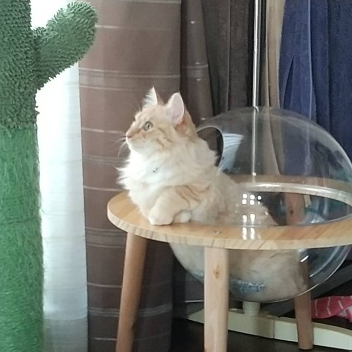 Ed2acdef 95a5 4913 80dc 0e8faaf85245 1624840654335