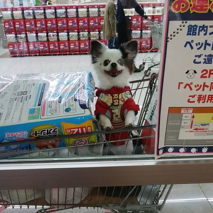 Ed2af364 34b0 4677 9acd 677899981252 1508667486753