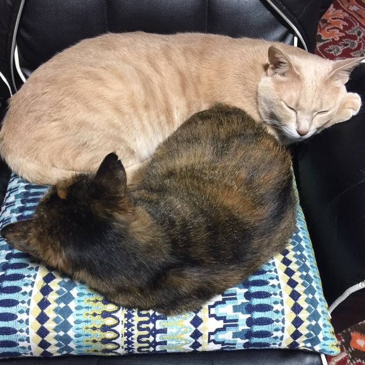 Ed2b23a8 44b8 4b73 b3df eb8fed95229e 1558611398881