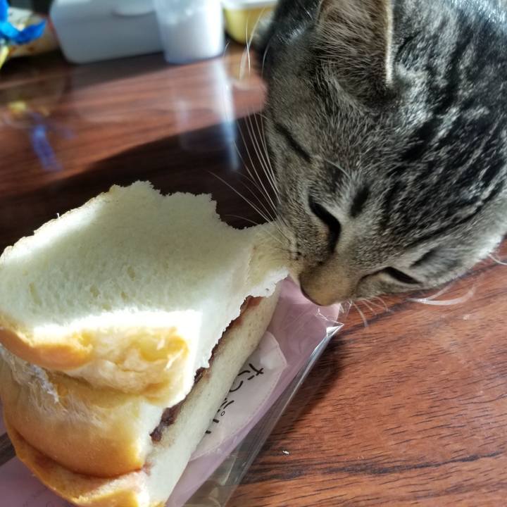 Ed2b2de2 719e 4655 8797 50212c8ccc39 1667353549644