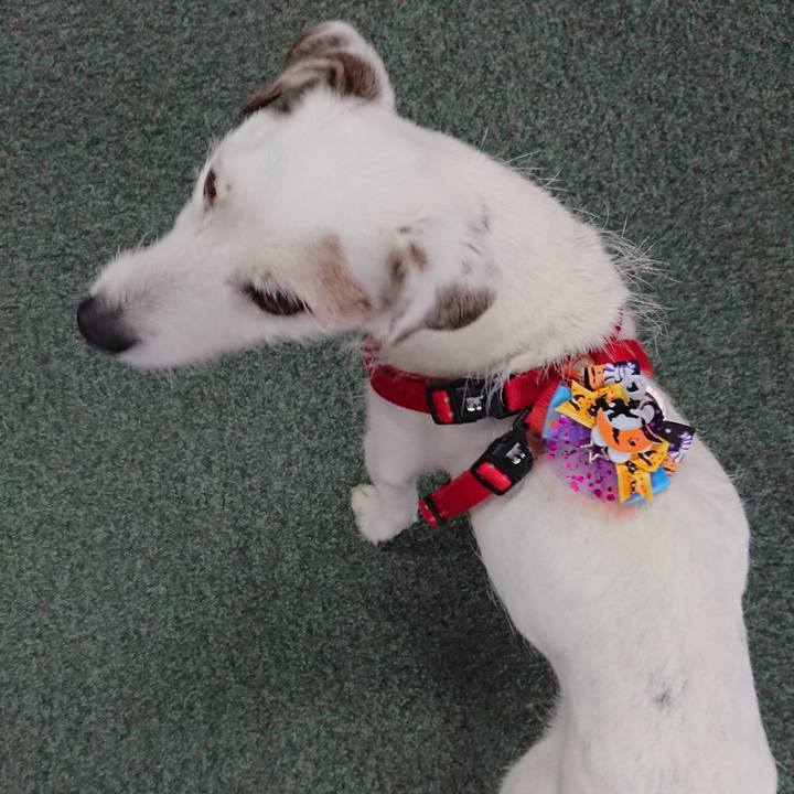 Ed2b56f6 9929 4dcf 9c76 15ce0b904a8d 1602769452271