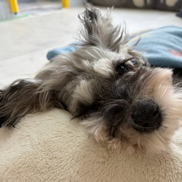 Ed2b91e1 2a6b 4172 80b5 72e1ec6df261 1772070036886