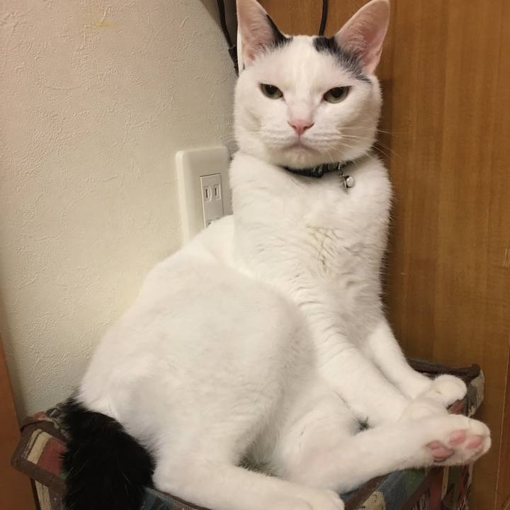 Ed2ba907 21c4 45cd 8163 7587b3666801 1566653611478