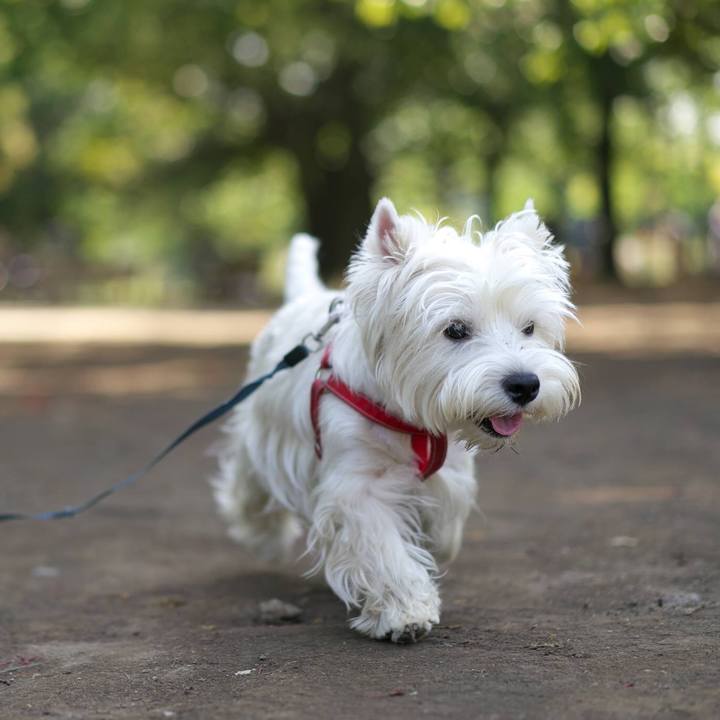 Ed2be40e d9c9 4800 a768 40d210eb176b 1524375405639