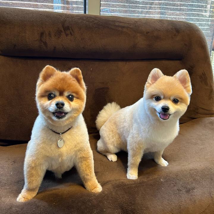 Ed2be480 5f65 430b 8341 7aa2b0be538f 1691212948109