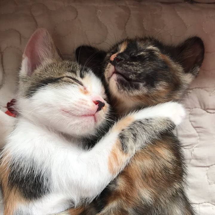 Ed2c05f6 427d 4627 864f f245f6ecc0e7 1596947208108