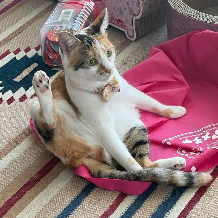 Ed2c088a 8903 475e a6d3 69b306fe259f 1632356876708