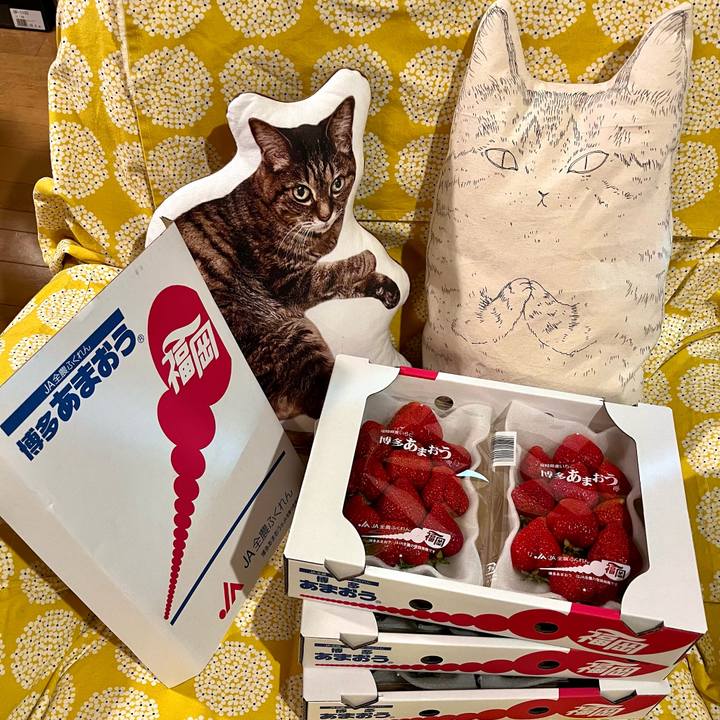 Ed2c0b75 5dd4 47e0 8469 f2bd77590053 1775292743765