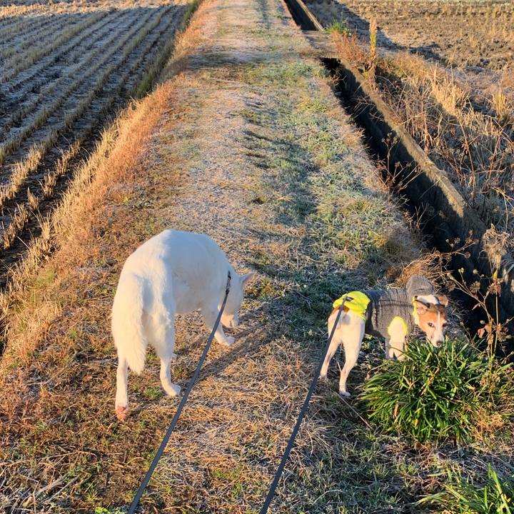 Ed2c3881 4dda 4a4c b349 bbd8ce38c81b 1577577514033