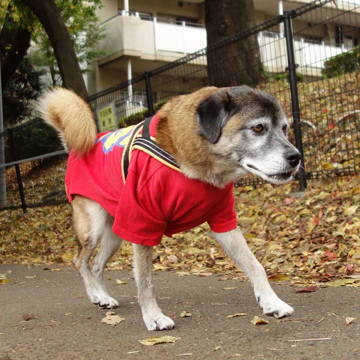 Ed2c4e2b 3e0c 41f9 a730 1c8eecccc915 1575244841608