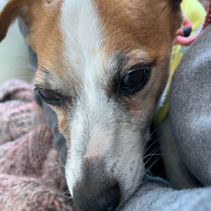 Ed2c4ede 40d9 44d2 85ee 905efc5496a8 1647404706201