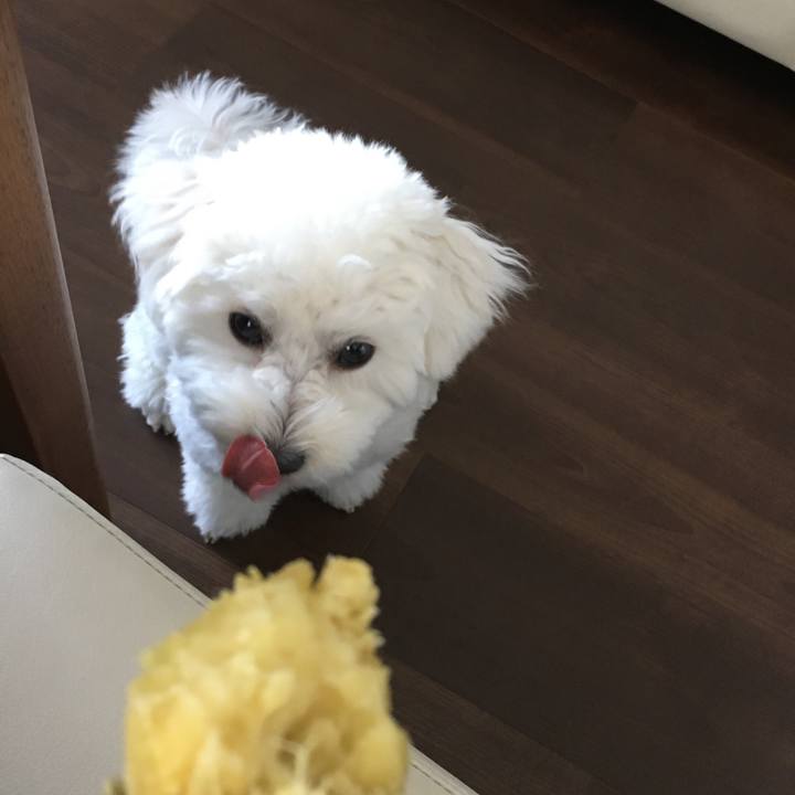 Ed2c7051 4b58 409b 8b1b a9047486dd44 1511067181309