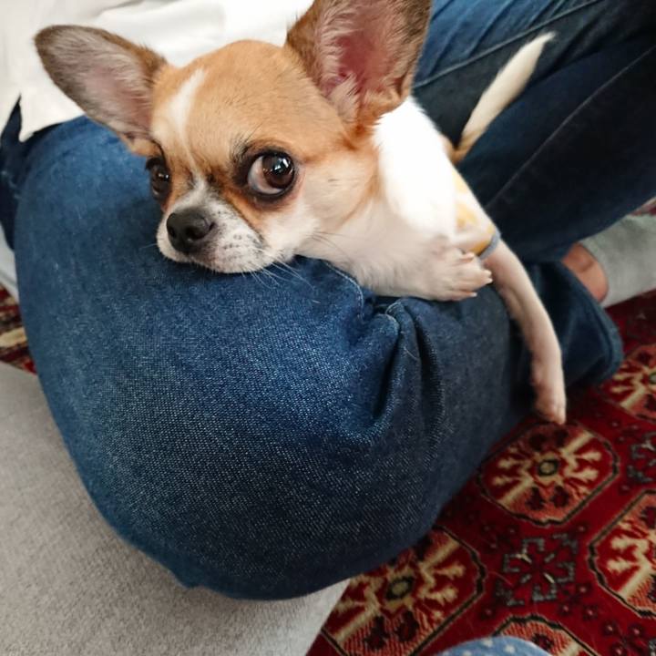 Ed2c7775 6377 4152 9e09 4f571fd77e58 1570322750867